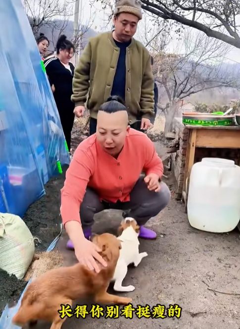 東北雨姐：東北給全國人打的一針興奮劑