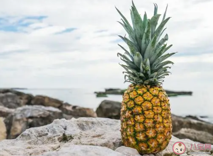 有嶺南四大名果之稱的水果是荔枝香蕉木瓜和什么 螞蟻莊園4月9日答案