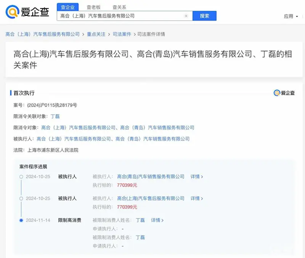 高合汽車(chē)創(chuàng)始人丁磊被限高消費(fèi)：涉案公司強(qiáng)執(zhí)金額超77萬(wàn)元